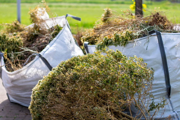 Trusted Stonegate, CO Junk Removal Experts